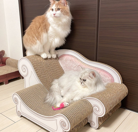 ふたり仲良くLuceで寛ぐ、ななちゃんとライト君