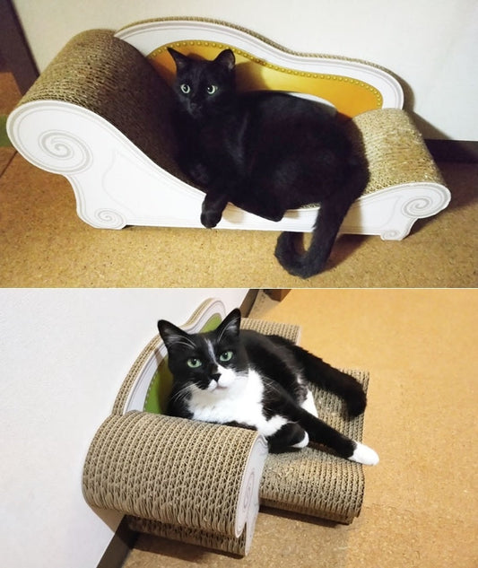 それぞれ、お気に入りのカリカリーナでリラックス。ピルチャード君とトム君