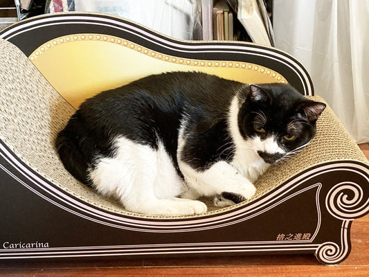 Basicグラングランで丸まってくつろぐ捨之進君