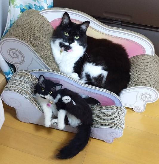 羊毛フェルトの敦子ちゃんとツーショット！Basicを3年以上愛用中の敦子ちゃん