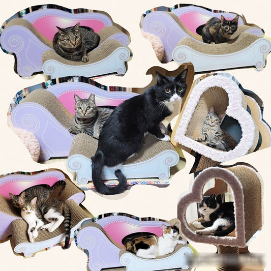 毎日誰かが爪を研いだり、寛いだり。9匹で3個のカリカリーナを愛用！