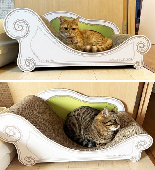 交代でBasicを愛用? あずきちゃんときなこちゃん