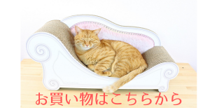 映画「ねことじいちゃん」２月２２日（金）ロードショー