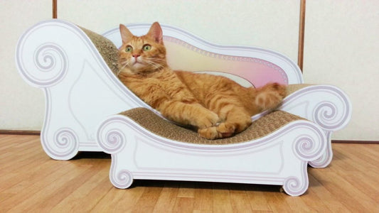 おしゃれな猫の爪とぎいかがですか？