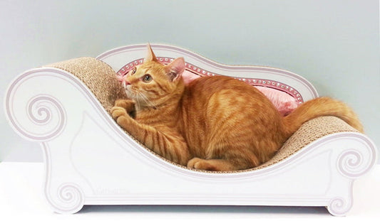 猫が爪とぎをする５つの理由！爪とぎを開始する時期や爪を研がない猫についても解説します！