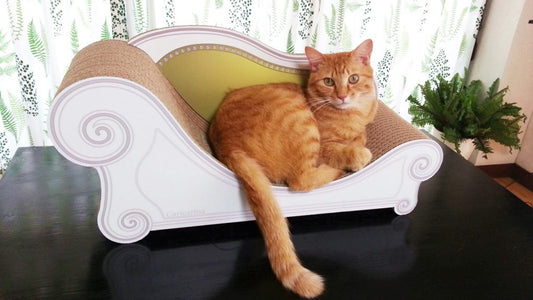 モスグリーン大集合の巻