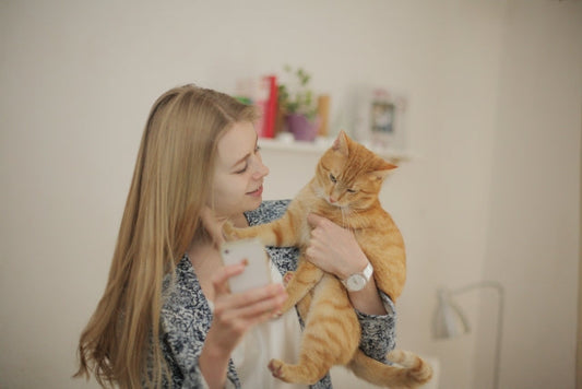 猫は自分の名前を理解している！？人の言葉がわかるという情報について