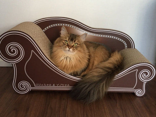 全国のカリカリーにゃん～リリィちゃん＆イブちゃん～