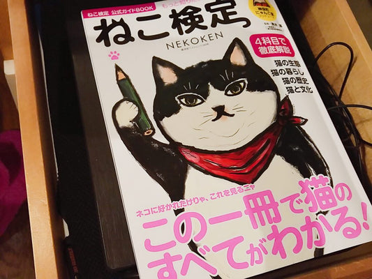 ねこ検定～お勉強は習慣に～