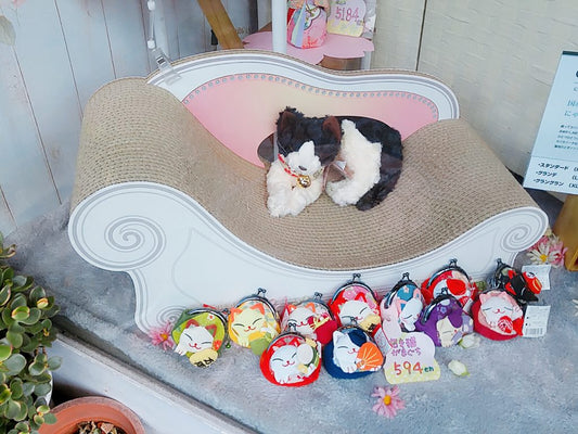 2月22日は猫の日～にゃんにゃんにゃん～