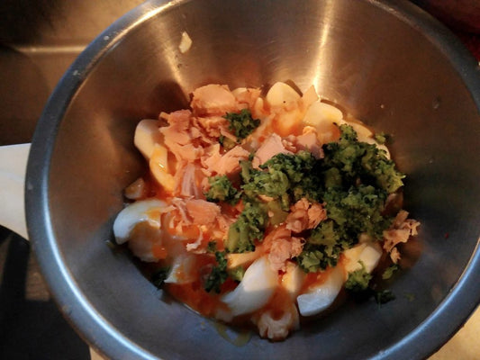 初めて猫を飼うときに、揃えるべきもの②～猫のごはんついて～