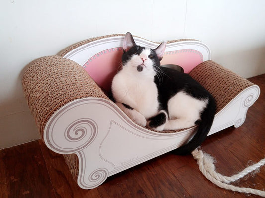 商品レビュー入りました！