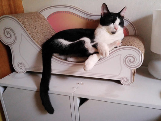 カリカリーナ改良いたしました！