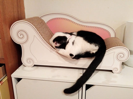 アートde猫 国芳その２