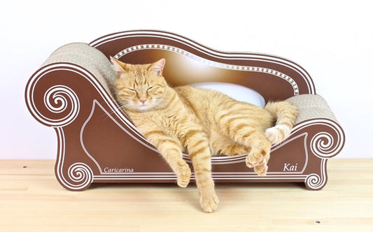 秋といえば、「あなた色」の季節です!! ～あなた色10月スタート～