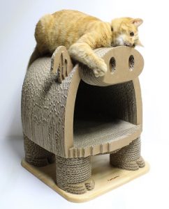 高いところが好きな猫の習性を「ねこ検定公式ガイドブック」で調べた！