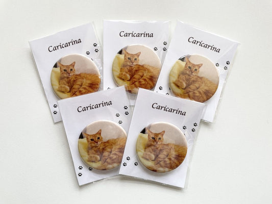 缶バッジどこに付けるか問題を一挙に解決！ しかも「いつでも一緒」にいられるニャン。