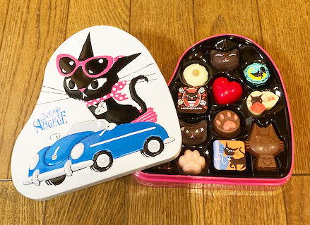 日本中の女の子にお知らせ。 猫がニャアと鳴いてくれて、本当に良かったニャン！