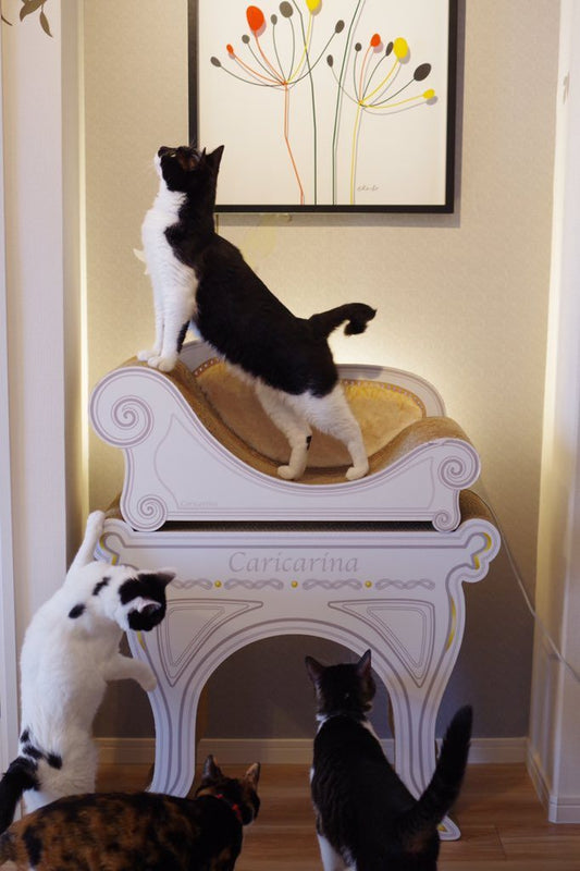 リュックと愉快な仲間たち。あ、あと響介～いぬのきもち ねこのきもち web magazine連載開始!!～