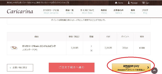 公式サイトなら100％返金保証！Amazonアカウントも使えます！