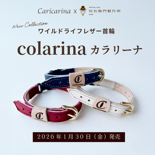 【1/30発売】カリカリーナから、オリジナルのレザー首輪「colarina カラリーナ」が誕生！