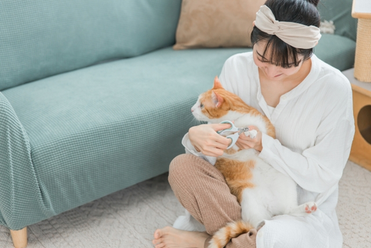猫の鳴き声はニャーだけじゃない！鳴き声で猫の気持ちがわかるかも？
