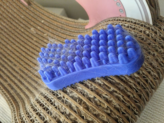 あと２日で今年のあなた色は終了です～ご注文はお忘れなく!!～