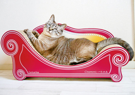 猫の爪とぎは素材もいろいろ。爪とぎを選ぶときに知っておきたいポイントとは？