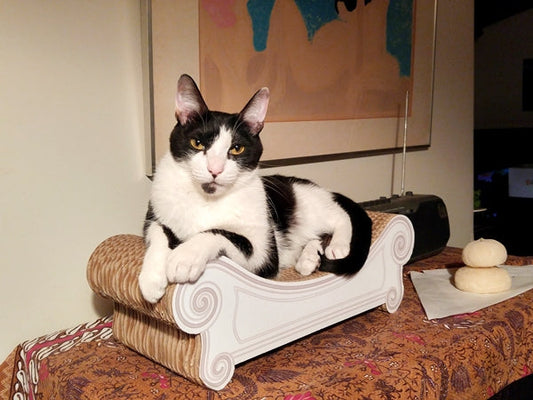 猫好き大集合のイベント、にゃんだらけに出展してきました