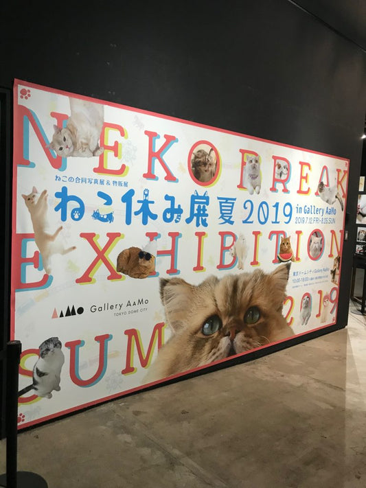 猫ちゃんに癒されまくり♪『ねこ休み展 夏 2019』に行ってきました！