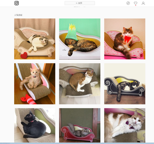 大地真央さんのインスタにカリカリーナが登場!!