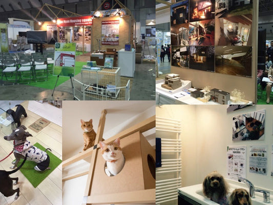 ねこ検定の問題とややアヤシイ解説～その２～