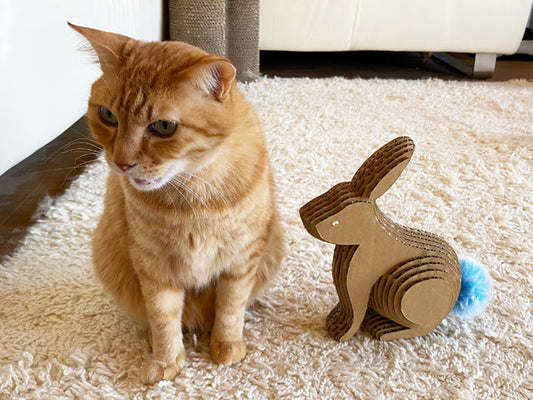 夏の出血大バーゲンいたします!! ～かば・さめ・くじら～