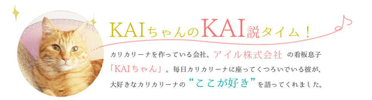 KAIちゃんのKAI説タイム！ その１