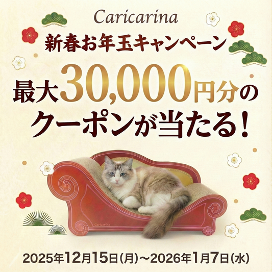 最大30,000円分のクーポンが当たる！カリカリーナ新春お年玉キャンペーン