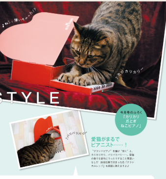 ねこのきもち４月号にハイヒール型爪とぎベレッツァ掲載されました