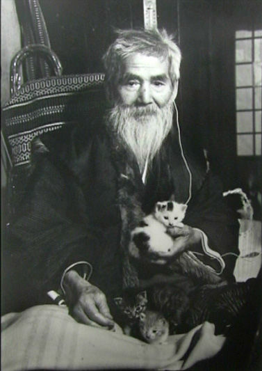 アートde猫 ～熊谷守一の巻～