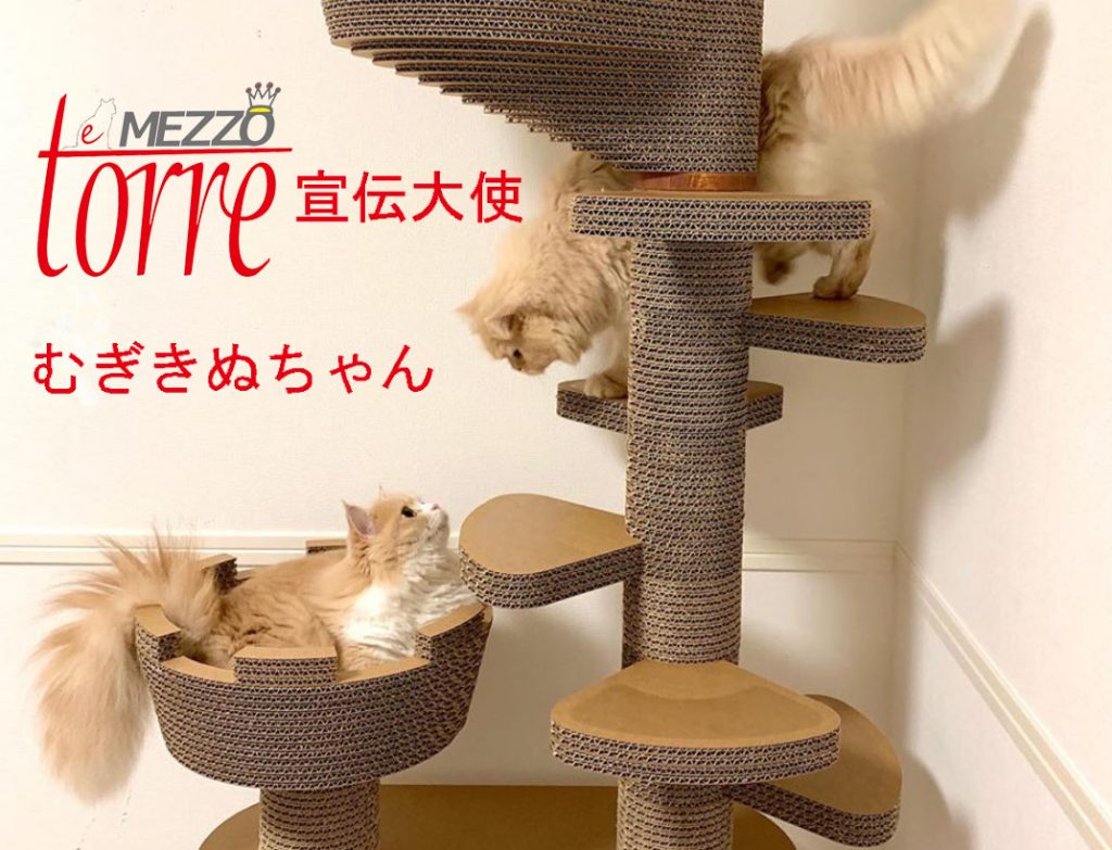 キャットタワー – tagged 