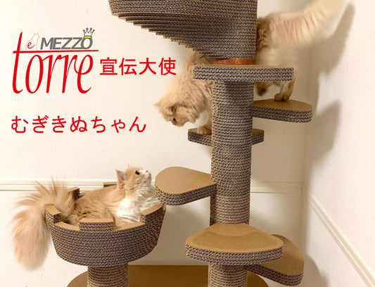 猫の「好き！」が詰まってる！ もう、本能レベルでのご愛用じゃニャいかしらん♡