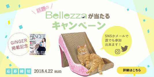 #カリカリーナほしい の投稿をお待ちしておりますよ!!