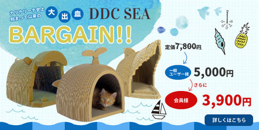 出血大バーゲン、かば売り切れました♥