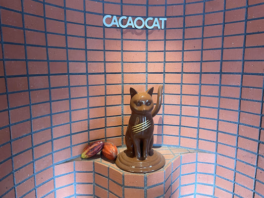 猫好きのバレンタインはカカオキャットで決まり！北海道発国産チョコレートのお店をご紹介します