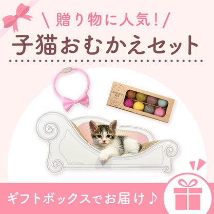 子猫おむかえセット