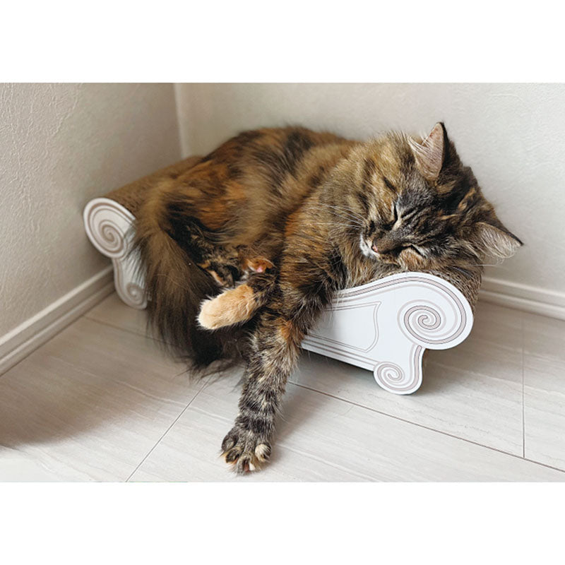 カリカリーナカレンダー2026　イメージ⑧