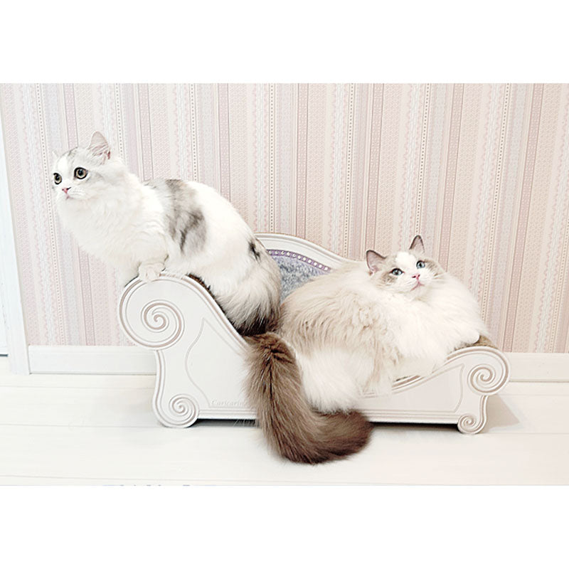 カリカリーナカレンダー2026　イメージ⑫