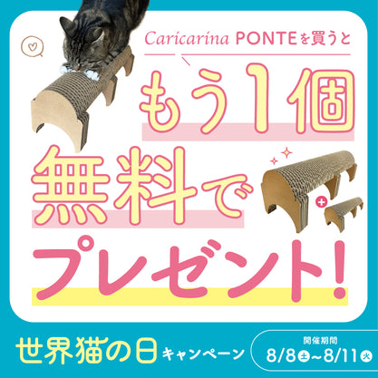 世界猫の日キャンペーン
