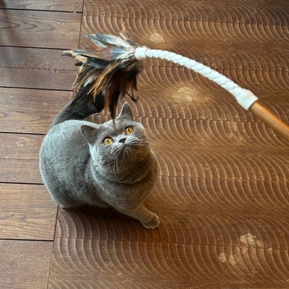 フェザーバウンサー02