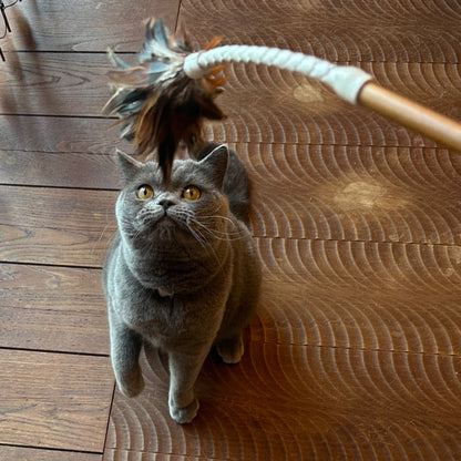 フェザーバウンサー03