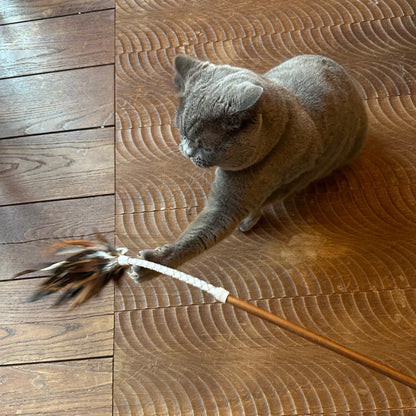 フェザーバウンサー04