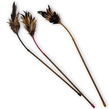 フェザーバウンサー09